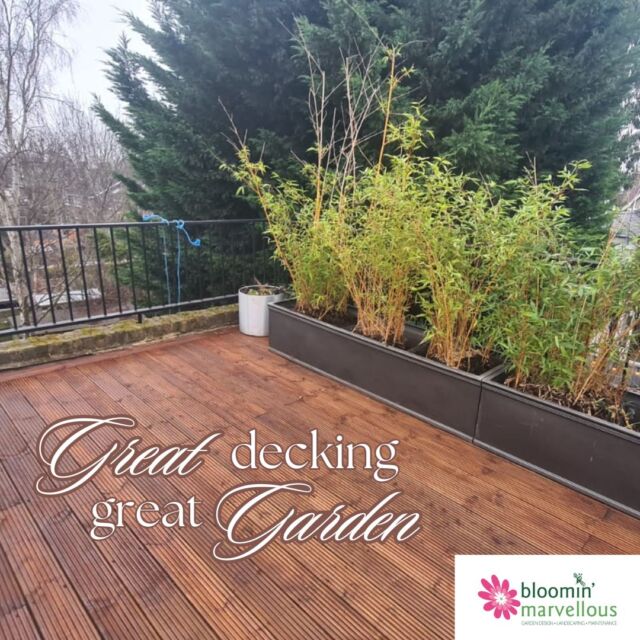 We love a great decking project and the way it can transform a space.  Decking is an excellent choice if you're looking to create a versatile outdoor space that can be used all year round. The finish of the wood can elevate the garden further - the deep earthy tones of this decking creates a classic rustic feel that is beautifully highlighted by the bright greenery featured in the planters.  After installation, we always let our customers know the best ways to care for their new decking to make sure it lasts for years to come.  If you'd like to discuss your decking options with our team of skilled landscape gardeners, please call 07944 557 571 for your free quote.  🌸 www.bloomin-marvellous.com 🌸  #BloominMarvellous #GardenMaintenanceSurrey #GardenServicesSurrey #landscaping #gardening #gardentidy #springready #hardlandscaping #gardendesign #yourgardensolution #loveyourgarden #gardenlove #gardenmakeover #decking #deckingideas #deckingdesign  #twickenhammums #surreybusiness #twickenhambusiness #thamesditton #kingstonuponthamesbusiness #surbitonbusiness #longdittonmums #claygate #esher #surbitonmums #claygatemums #hinchleywoodmums #surreymummy #surreymums